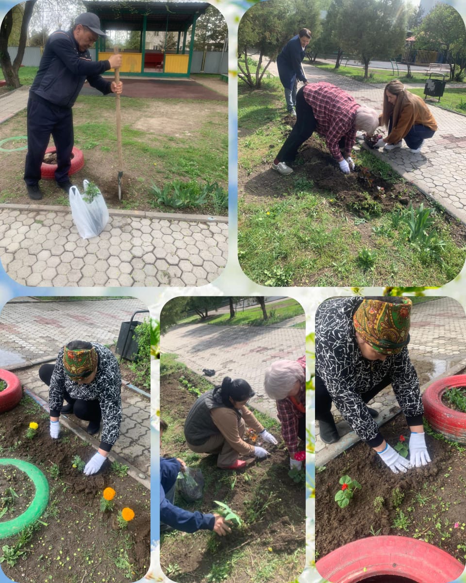 Тақырыбы: Гүлденсе — балабақша гүлденеді! 🌿  Бүгін балабақшамыздың ауласында ерекше қарбалас пен көтеріңкі көңіл-күй орнады. «Ата-ана мен балабақша» ынтымақтастығы аясында ауламызды көгалдандыру, гүлдер мен көшеттер отырғызу жұмыстары жүргізілді.